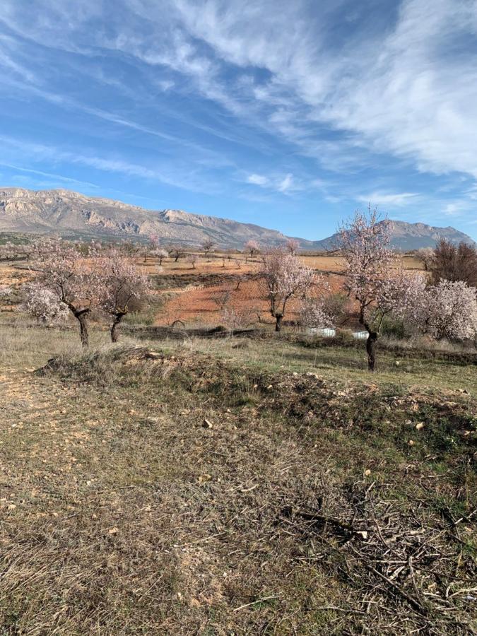 Cortijo Frankie Apartment Chirivel Luaran gambar
