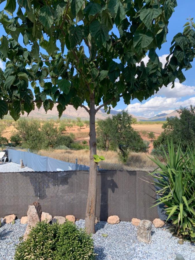 Cortijo Frankie Apartment Chirivel Luaran gambar